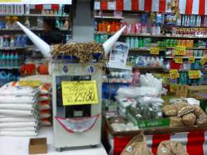 �y���W�����{�s�I�j�R��2008�@�e�L�T�X���R����_2